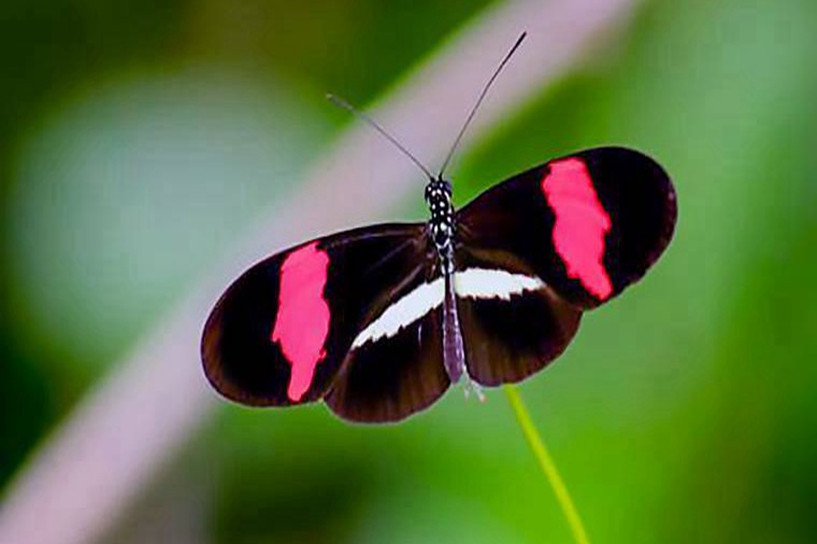 网络教育统考考不过有什么办法吗,哪些网络教育免考