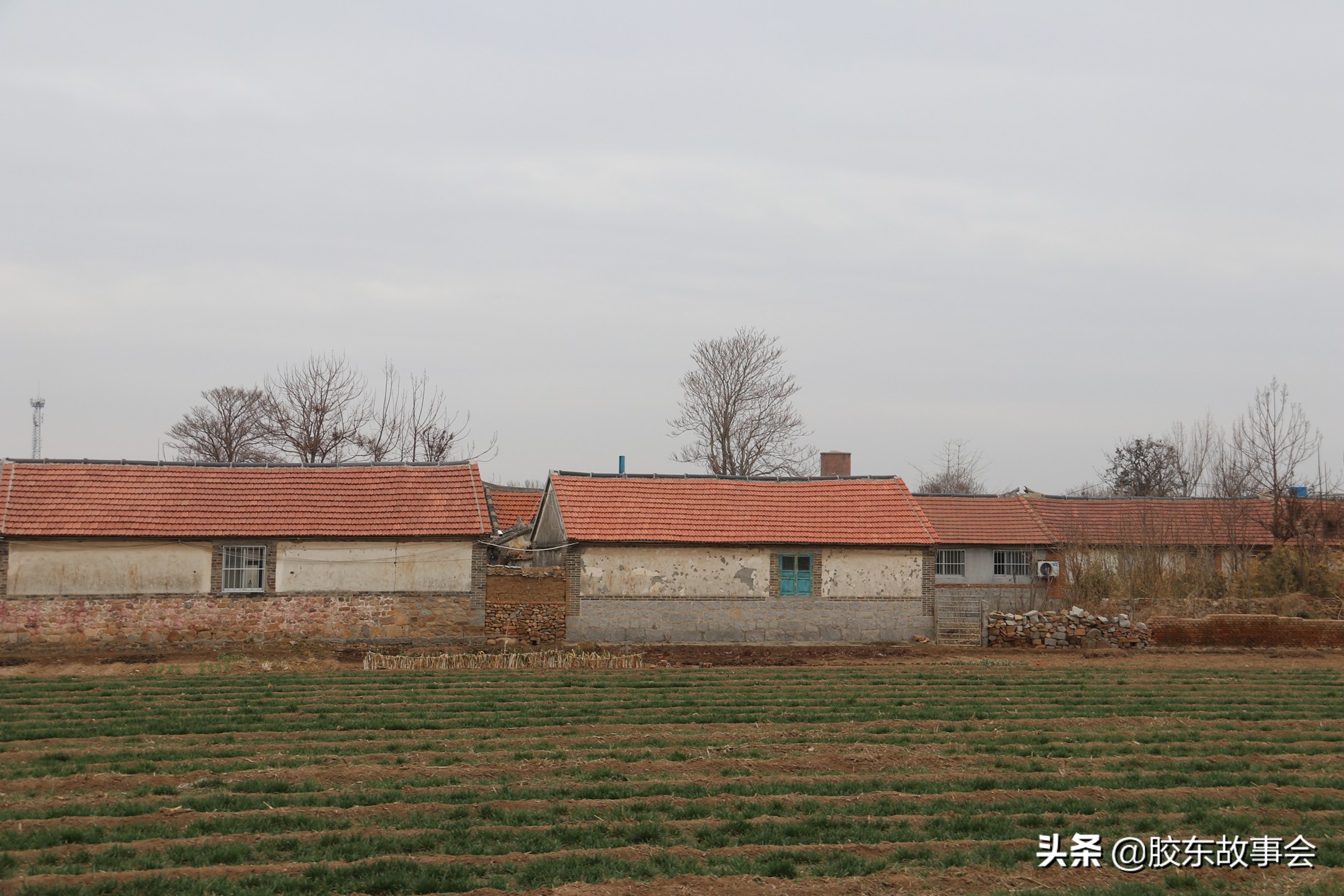 山东烟台招远张姓族谱,山东省招远哪个地方姓方的多