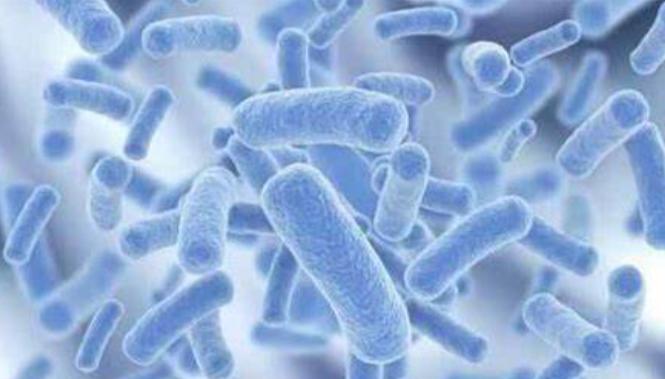 小狗尿黄有眼屎怎么降火,小狗尿尿是黄的