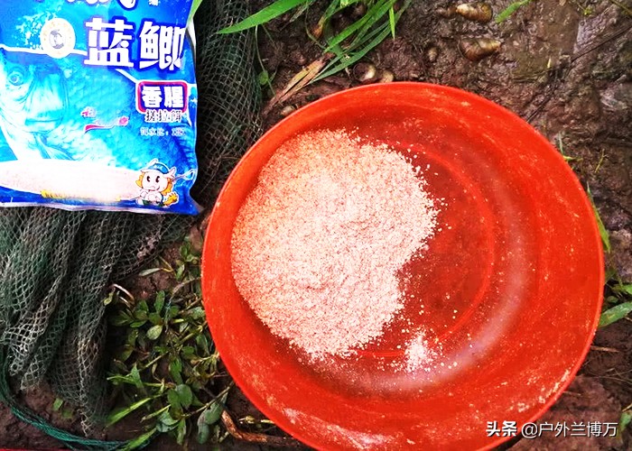 冬钓大板鲫，红虫多加点蓝鲫，鱼儿来得更快