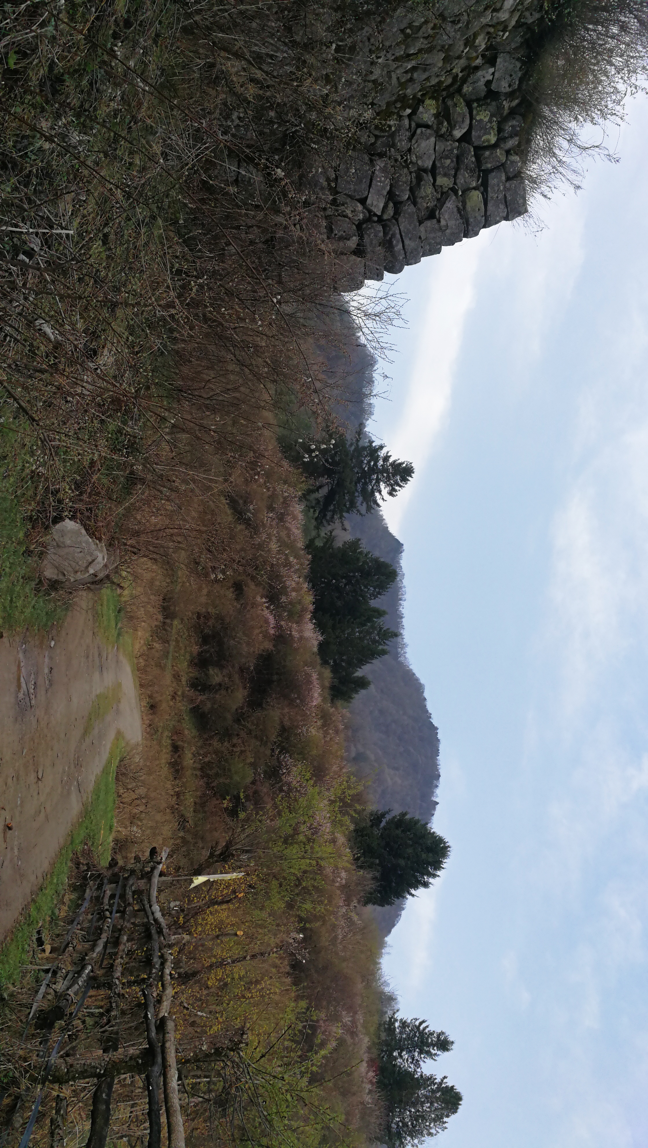 西安周至踏青赏花的路线攻略,周至老县城旅游攻略