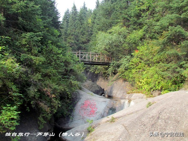 宁武芦芽山悬崖栈道,太原出发芦芽山马仑草原自驾路线