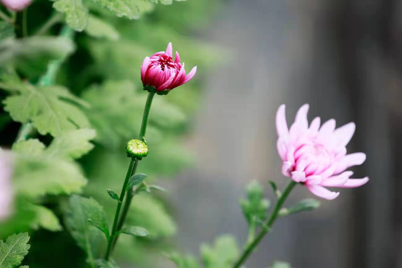 单反摄影参数设置技巧,单反拍摄led如何调整参数