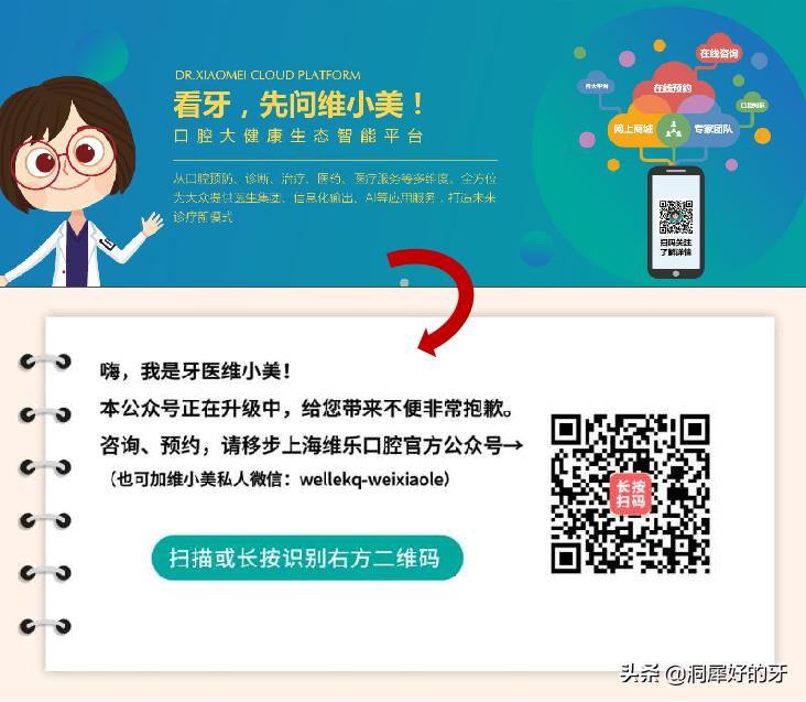 模式增长红利,模式红利期