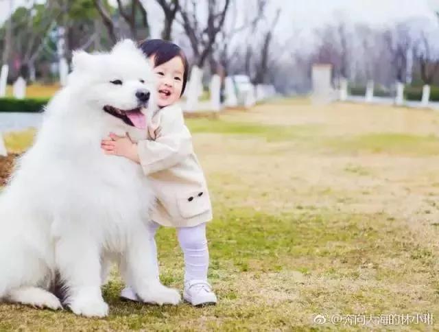 把狗狗卖掉了很伤心,心爱的狗狗卖了心里很难过