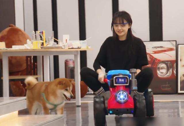 30块便当找张恒报销1000元!身家过亿又如何,郑爽照样贪财