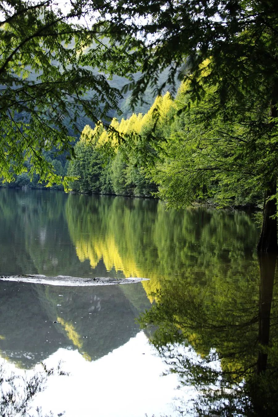 汉中龙池湖攻略,汉中龙池湖简介