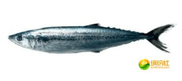 舟山4月份海鲜攻略,舟山海鲜代加工攻略