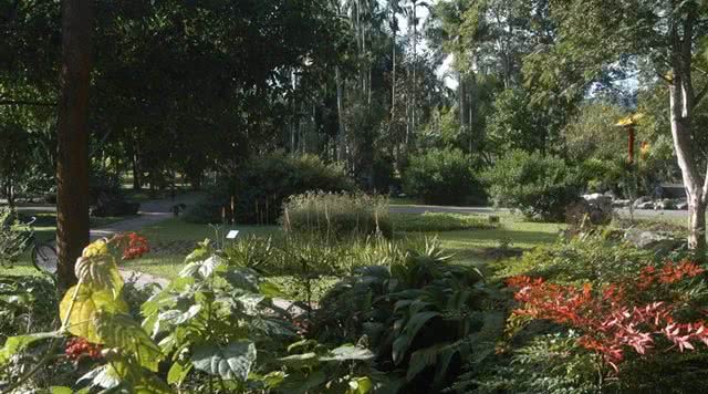 云南旅游最美的十大5a级景点,云南旅游全攻略5a景点