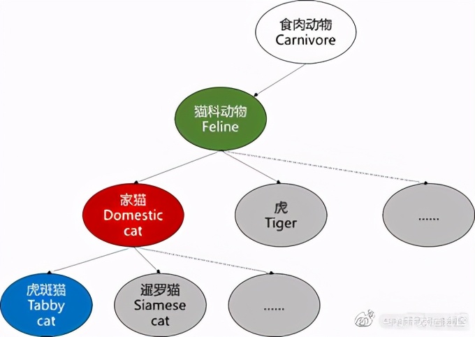 华为云ai报告,论文被ieee数据库收录