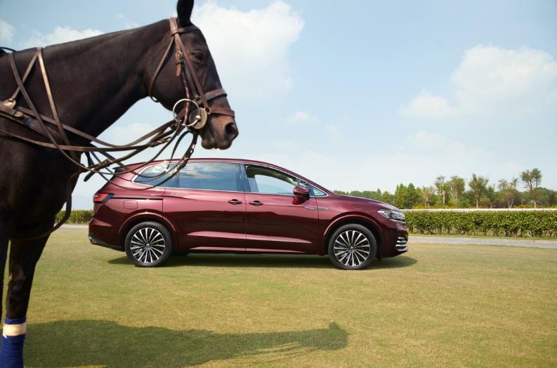 大v威然,威然是大v吗