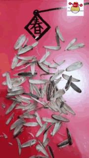 各种瓜子口味测评,20种口味瓜子