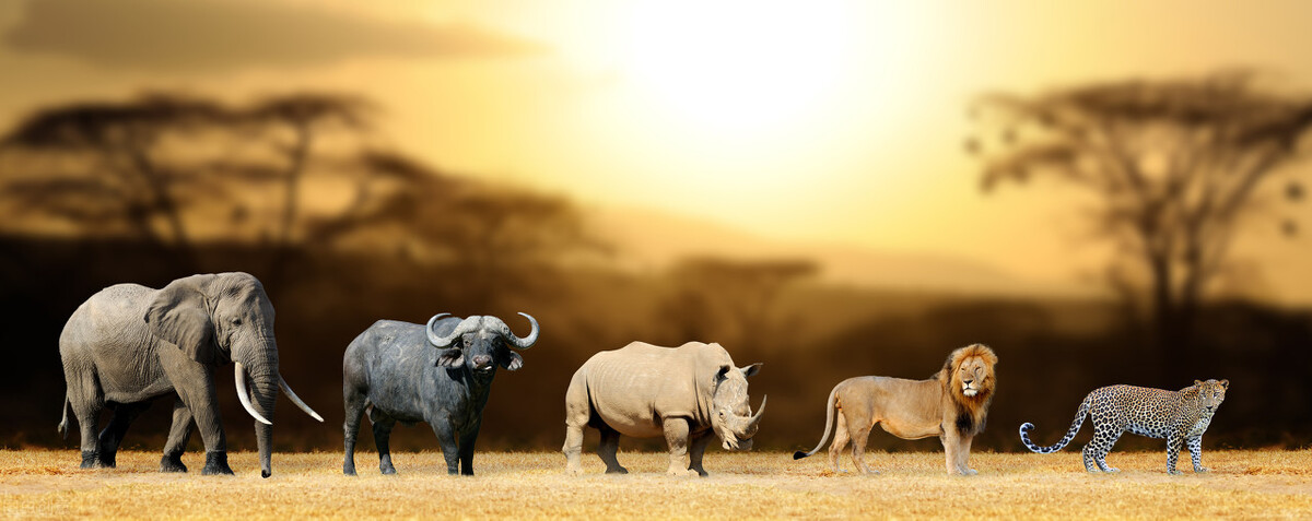 这样让小学生轻松记下颜色,10个单词,动物,学习用品,人体等单词