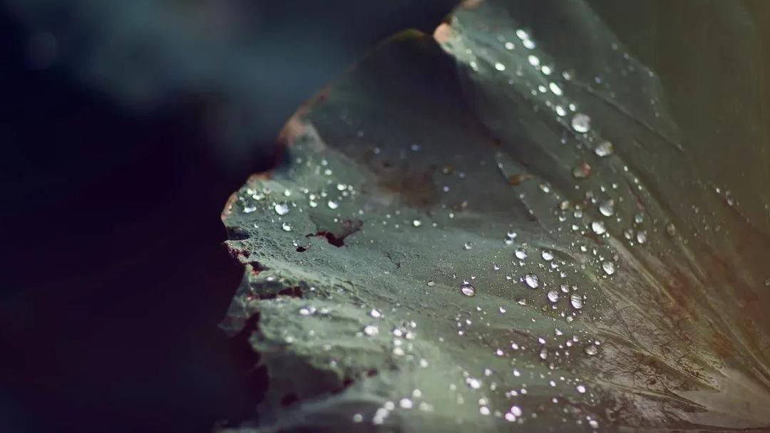 哪种水泡茶最好喝又健康,冷水泡茶的正确喝法是什么