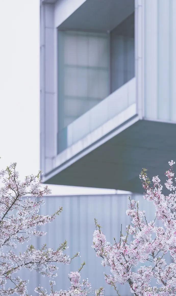 南京是什么味的,南京以什么口味为主