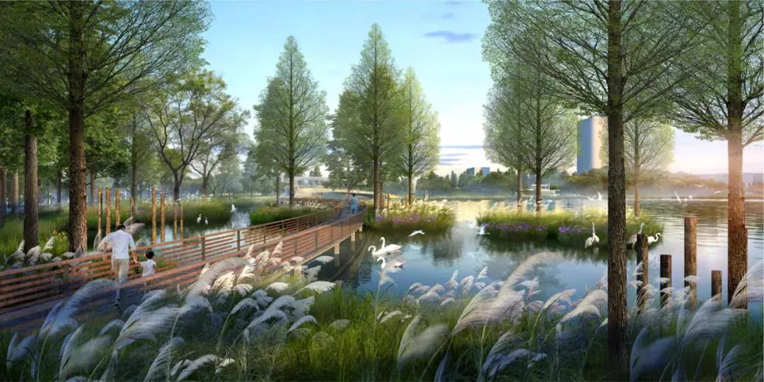 金沙湖钱塘新区,钱塘区金沙湖规划