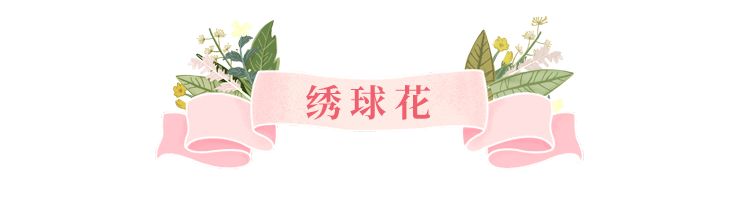 美美美！余杭七大花海组团来袭，遍地繁花好似人间仙境