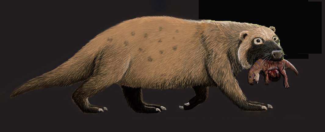 恐龙蛋化石里面有恐龙基因吗,关于恐龙蛋和恐龙化石的科普