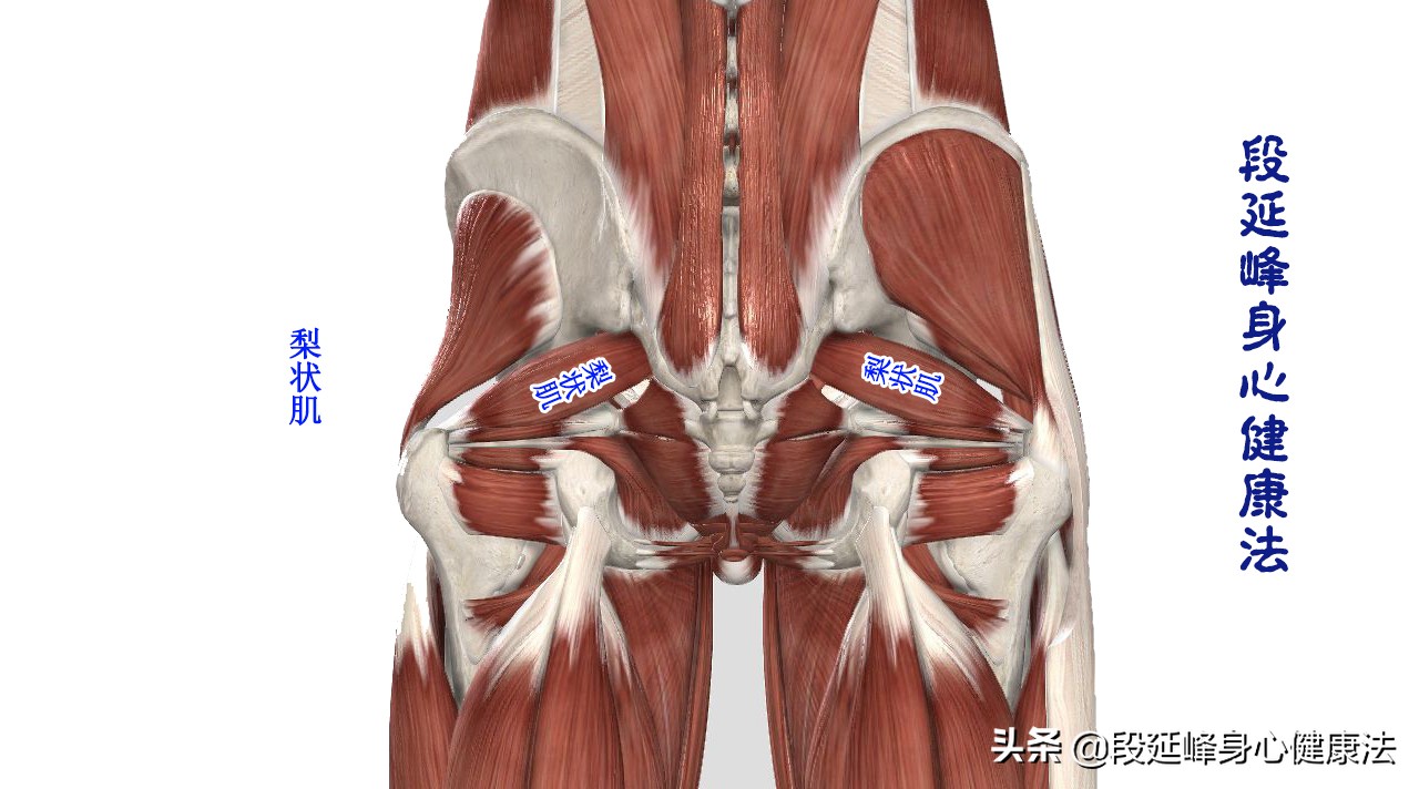 老年女性尿失禁吊带治疗有风险吗,女性尿失禁康复锻炼