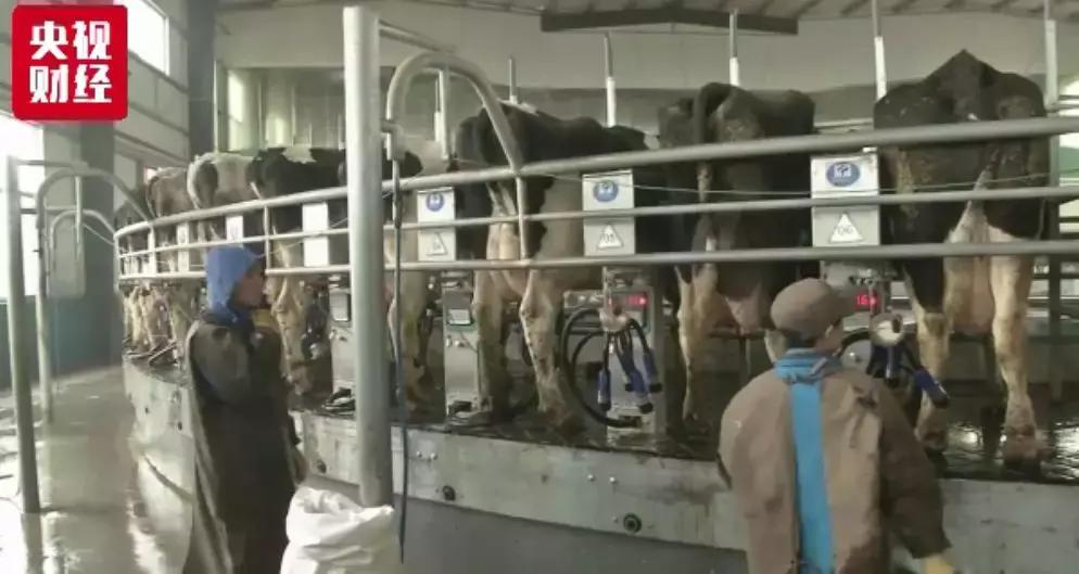 牛奶涨价涨了多少,今年牛奶降价原因