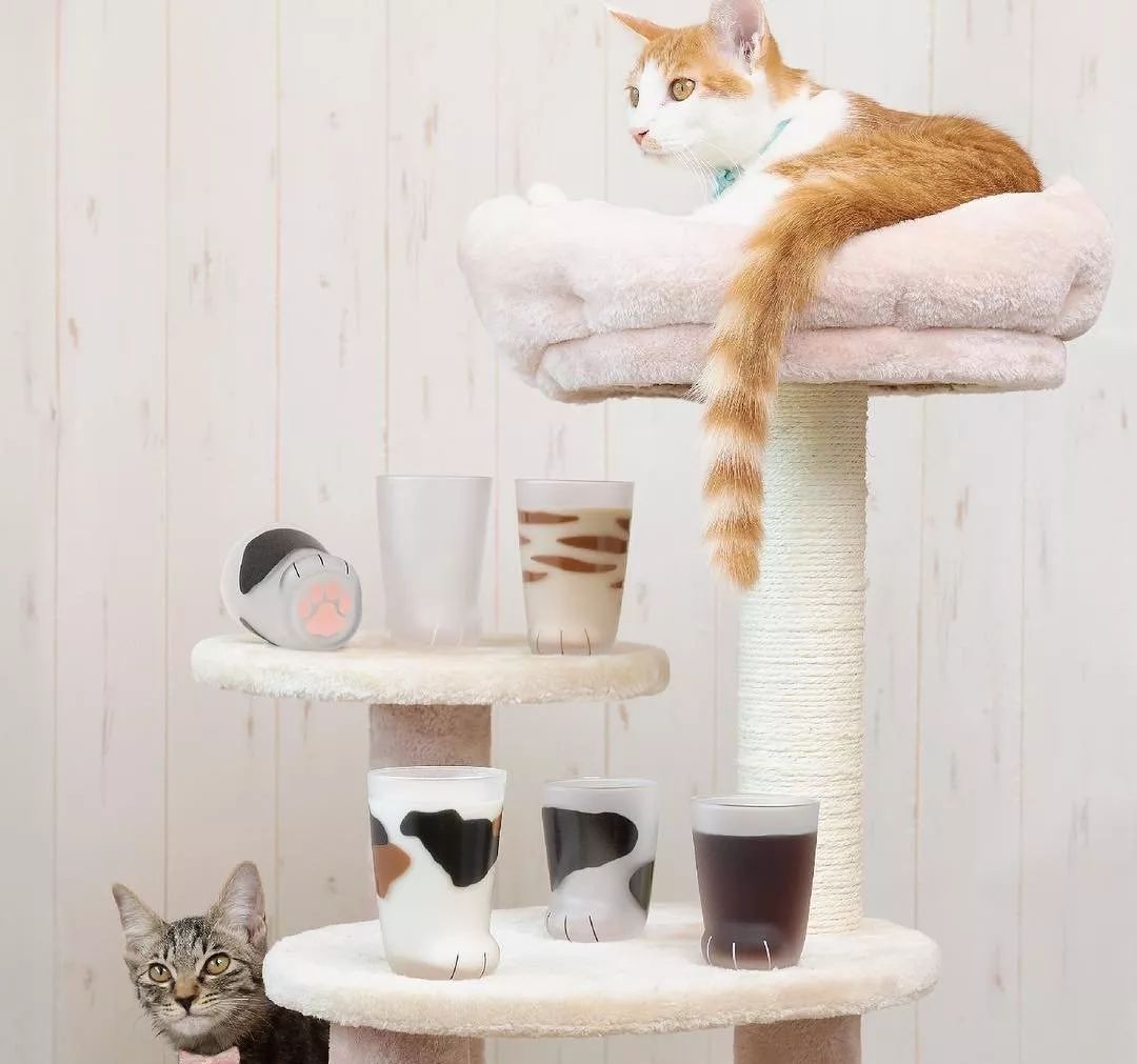 按头安利!5块钱淘宝好物,解决最难搞的收纳问题