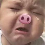 慕斯蛋糕制作要点全教你！不烤不蒸，烘焙新手必学