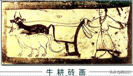 两汉的发展和成就,两汉时期的农业有何成就