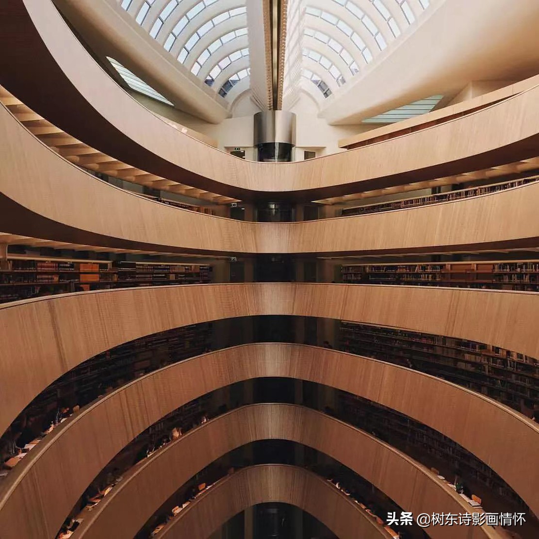 七律岁月,七律岁月年轮