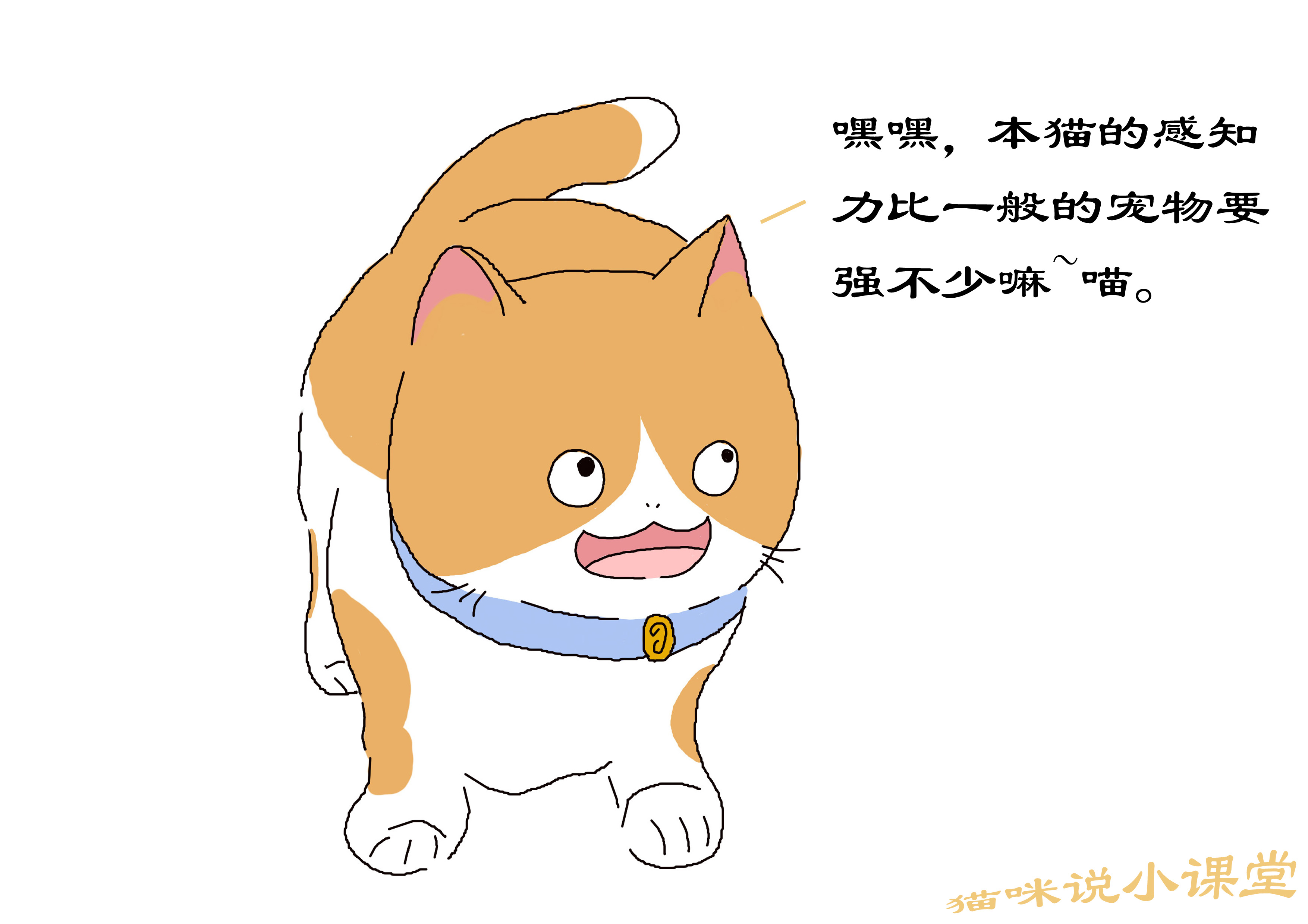 猫的敏锐听觉,猫的触觉非常灵敏是什么在起作用