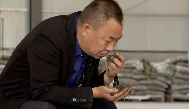 他因一句话改行进荒山，凭它一年卖出5000万.