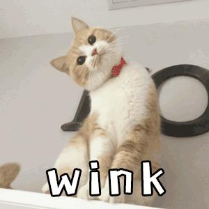 三无医美被处罚事件,三无祛斑产品市场监督罚款多少