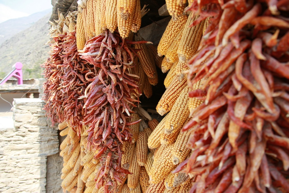 米亚罗-大美理礼县