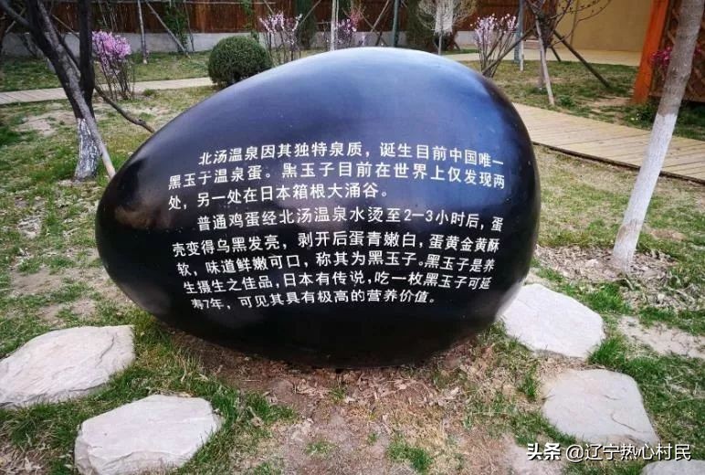 沈阳温泉推荐儿童乐园,沈阳好玩的温泉推荐适合带孩子