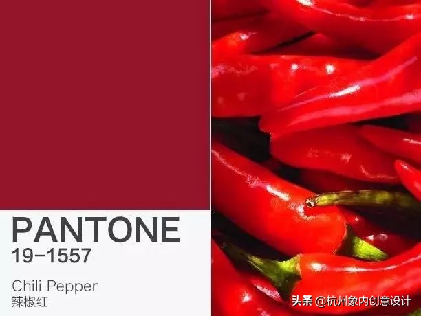 pantone2023流行色对冲色,2024pantone流行色色号