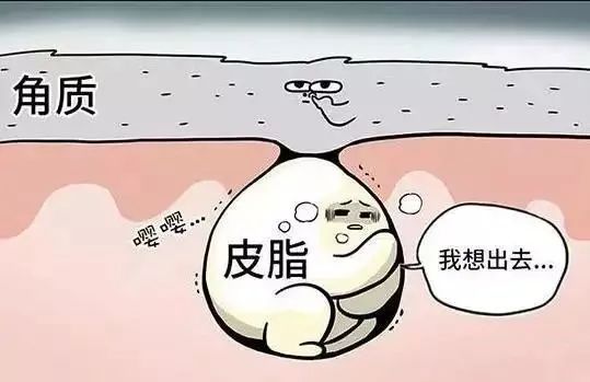 脸部黑头粉刺有必要去美容院挤吗,粉刺黑头应不应该挤掉