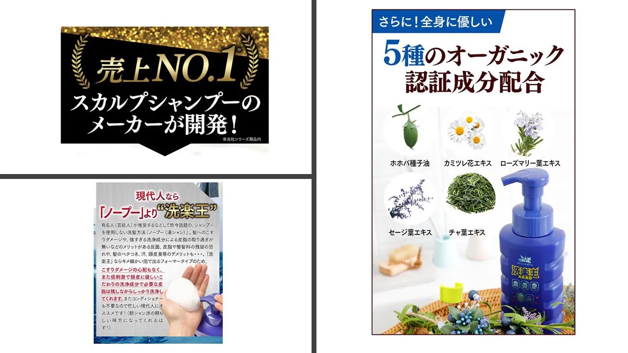 洗涤剂五合一,日本洗洁用品