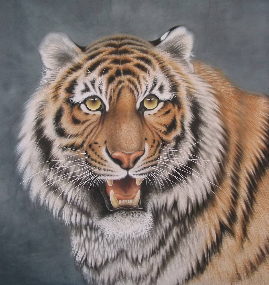 画虎技法,高手画虎的技巧