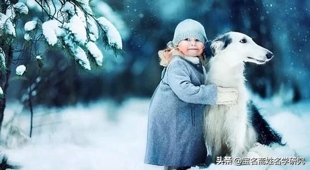 字五行属什么怎么定的,文字起名五行属什么