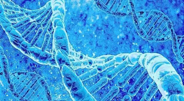 人类基因有可能变异吗,基因能间接证明人类有轮回吗