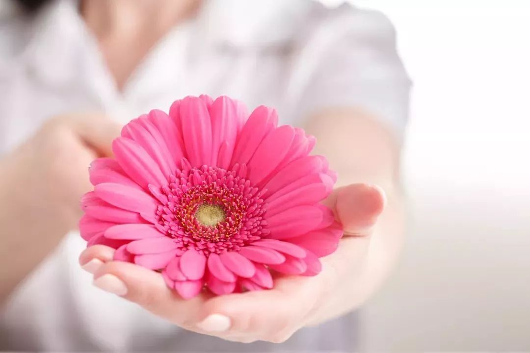 消除炎症的精油有哪些成分,十大必备的精油有哪些