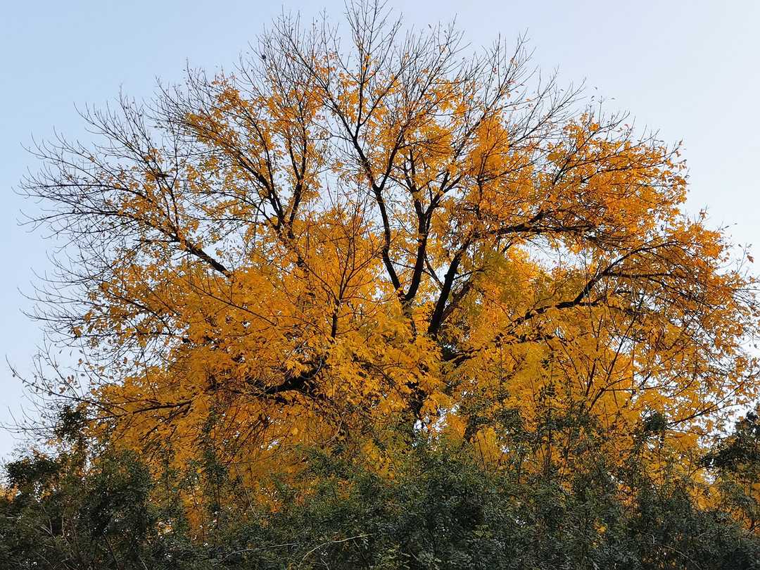 北大口腔医院儿童口腔科看牙,北大口腔医院周六日可以看牙吗