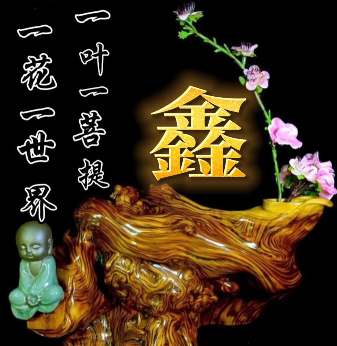 一花一世界一叶一菩提头像,一叶一菩提禅意微信头像