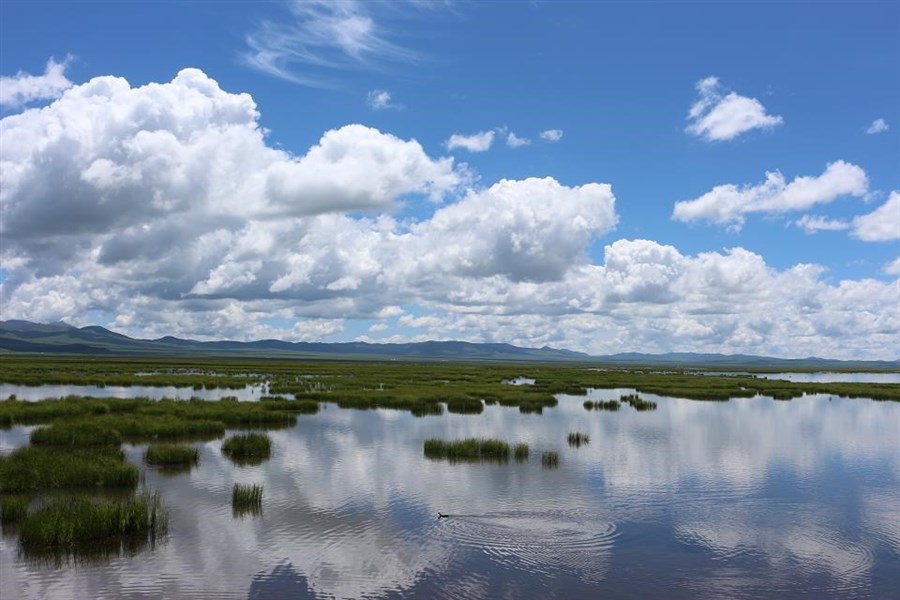 暂离城市的喧嚣，来拥抱若尔盖大草原，湖在天上，天在湖中