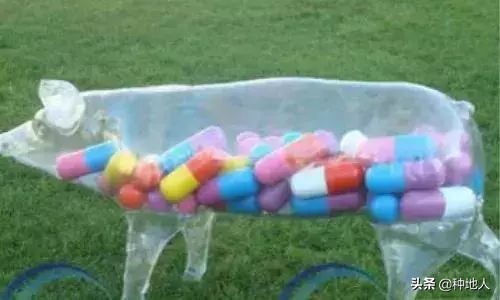 畜禽粪便有机肥发展之路,畜禽粪污资源化生产有机肥