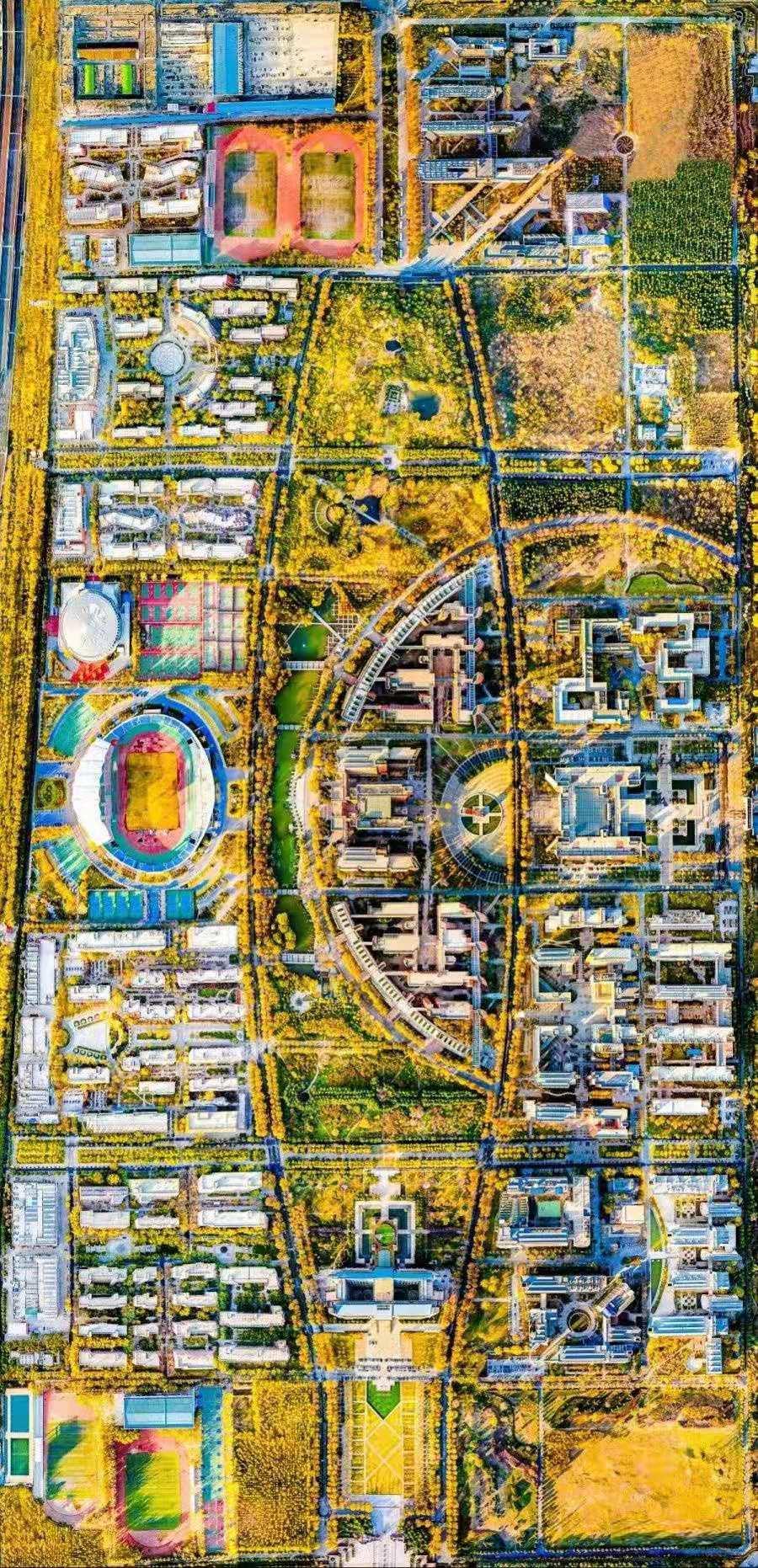 郑州大学化学和计算机选哪个,郑州大学临床医学有几个班级