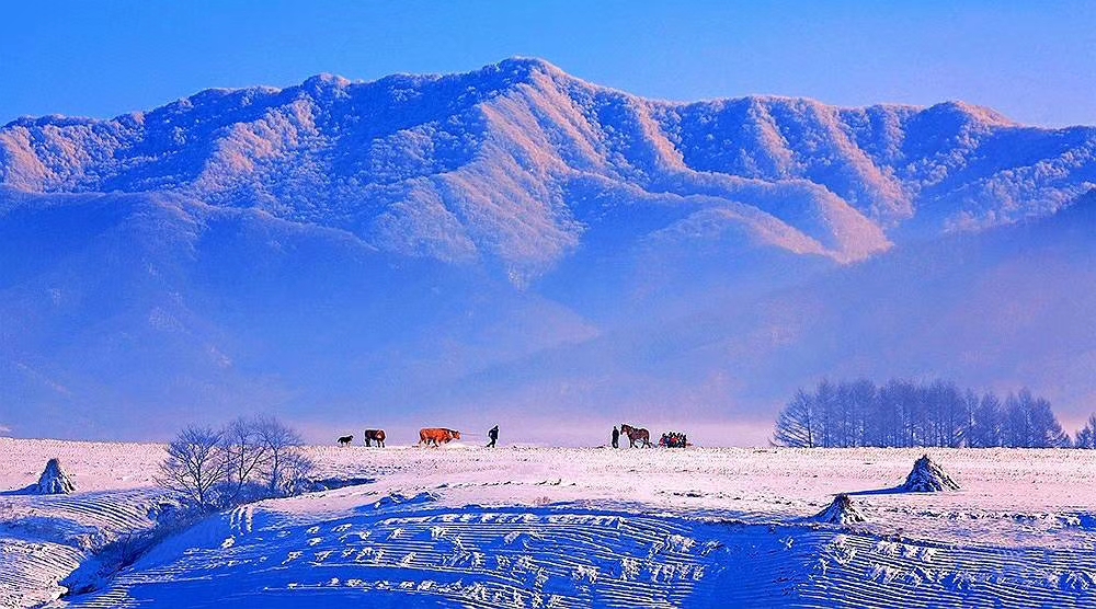 东北人受不了南方的冷吗,为什么北方人冬天喝冰水