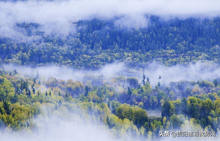 观山湖区为啥发展好,外省人看观山湖