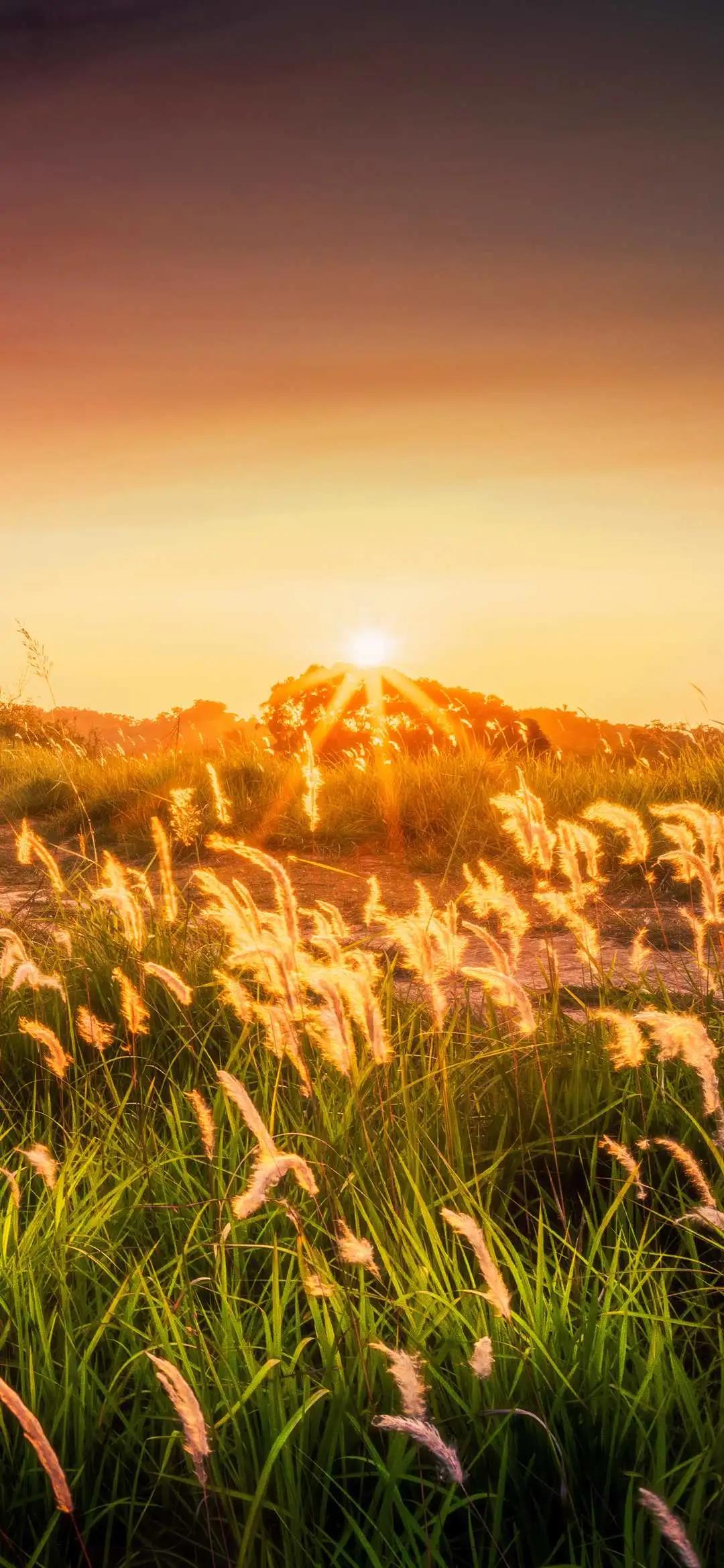 8k超清蓝光壁纸风景壁纸,壁纸超清全面屏山水风景壁纸