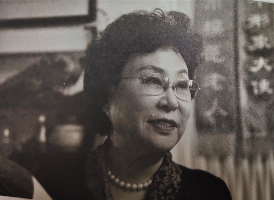 枣庄抗日战役,刘知侠的抗日小说