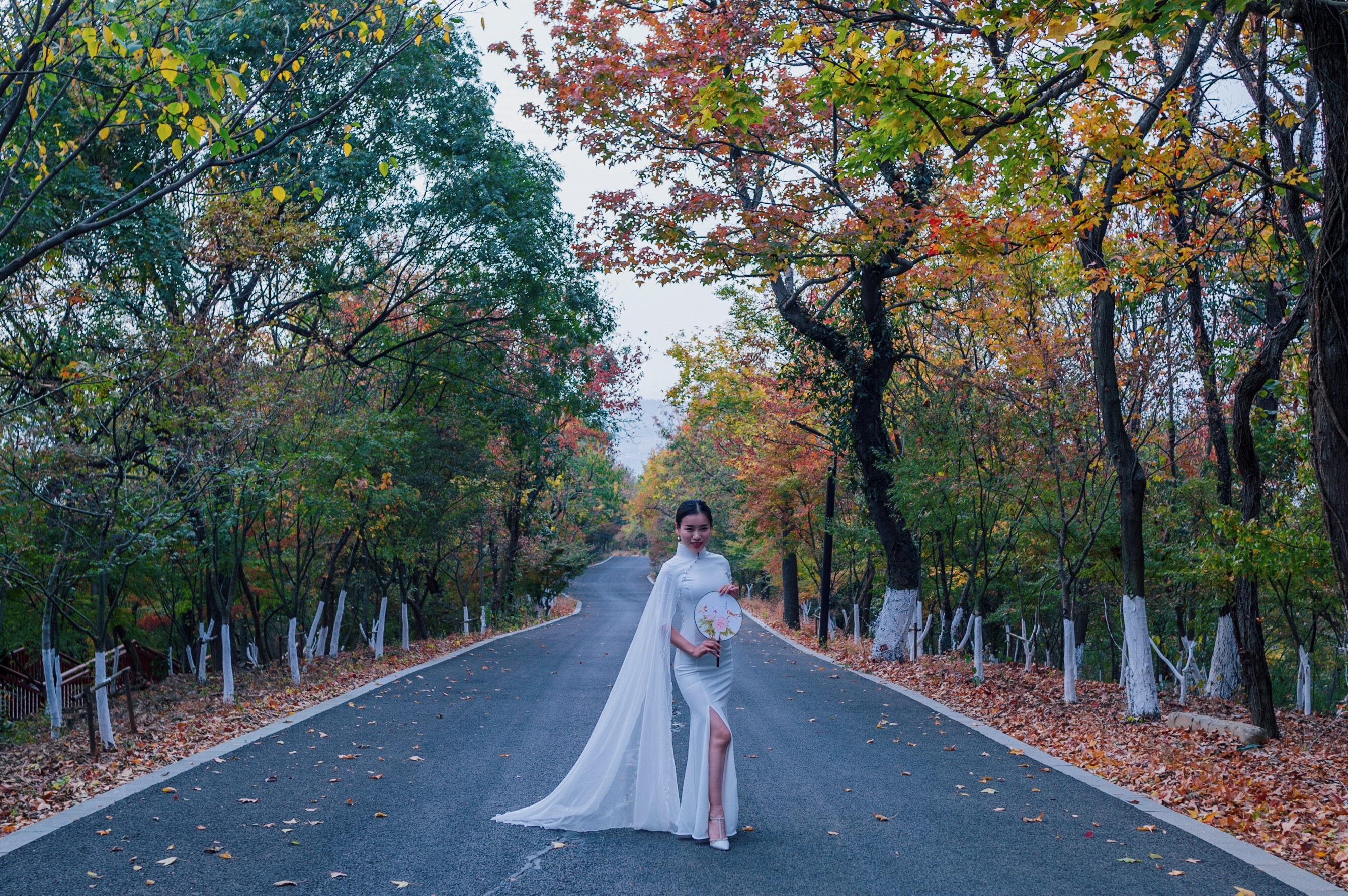 中国四大赏枫胜地南京栖霞山,南京栖霞山进入旅游赏枫季